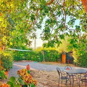 La Casina Italia